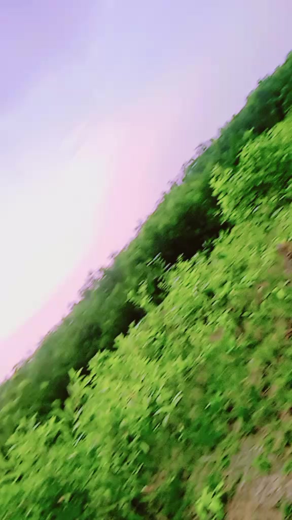 @🦋🌺প্রজাপতি🌺🦋
