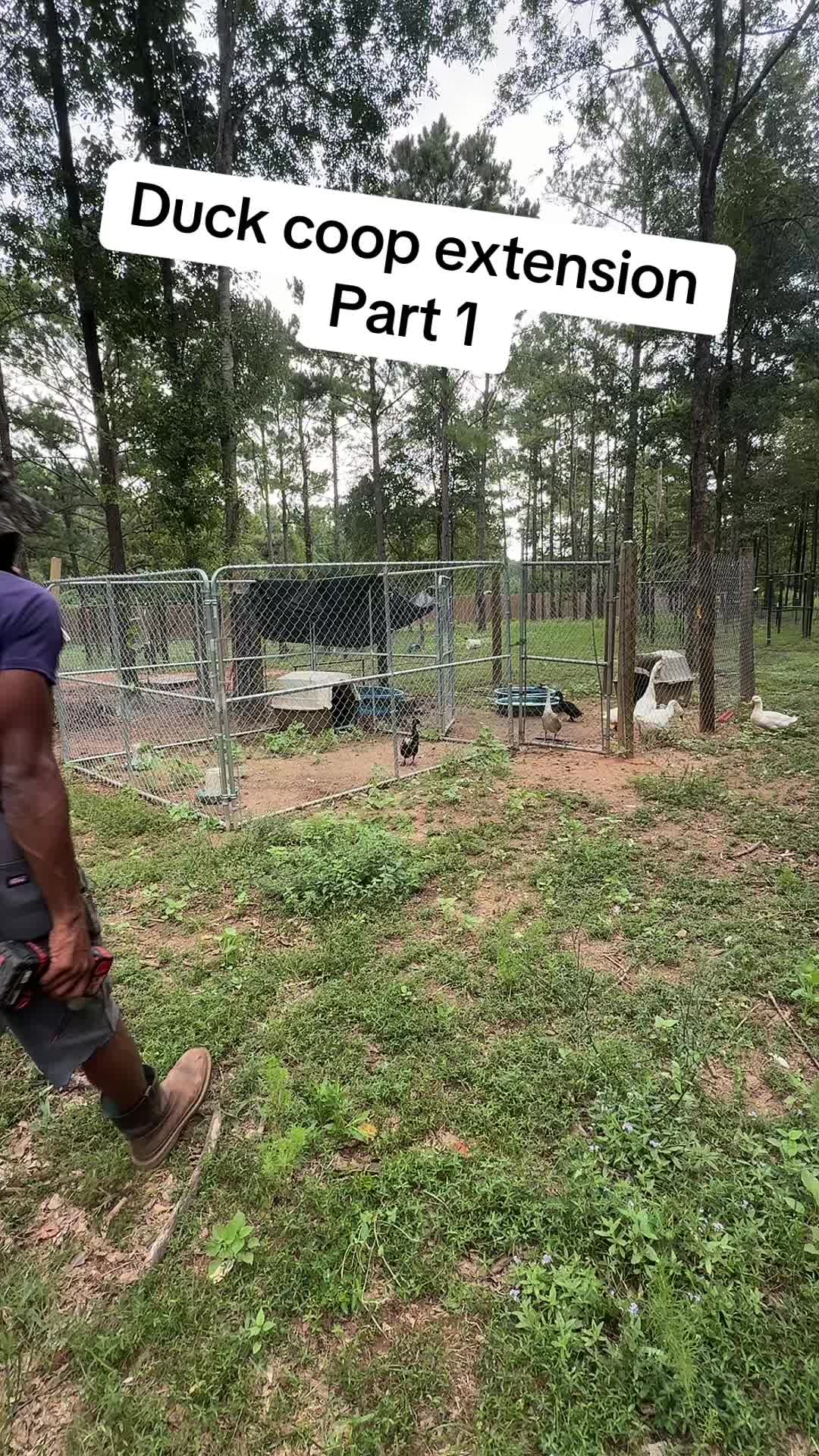 @RastaKountryDream