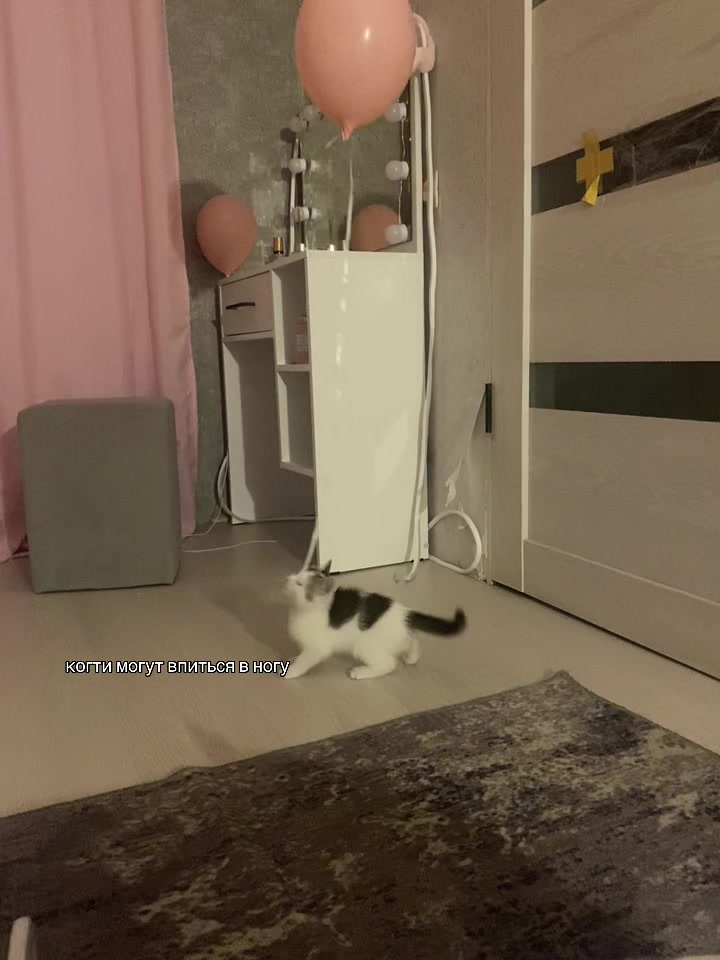@черишка🐆
