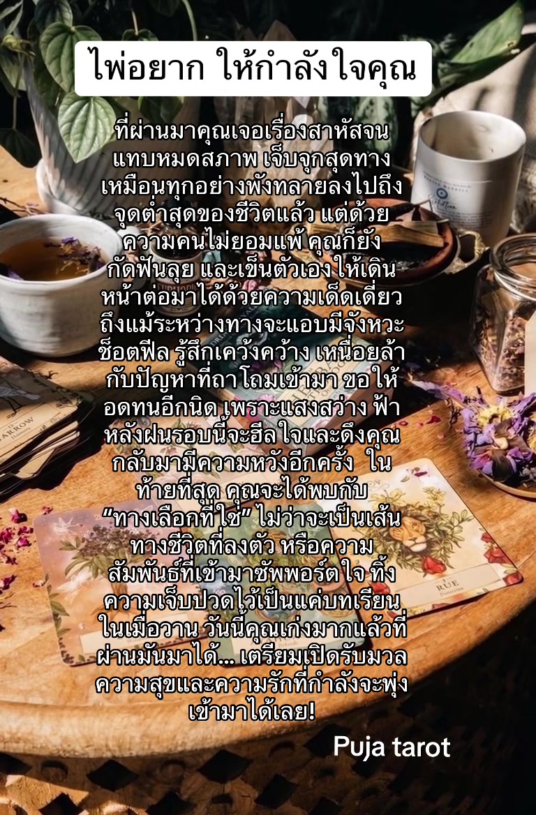 @ตามแม่มาแม่จะพาไปมู