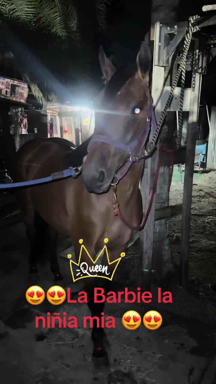 @🔥🔥❤️EL FEO ❤️🔥🔥