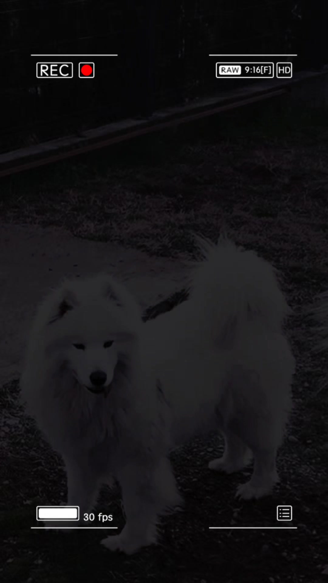 @Polar_ love_ Ice🐾