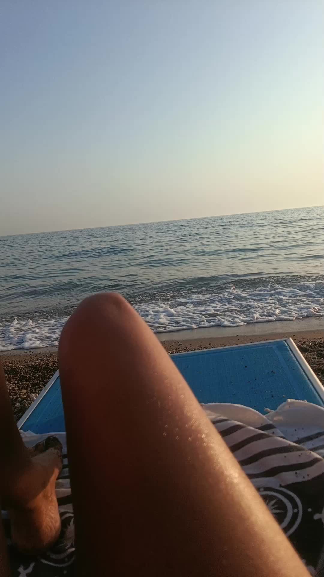 @rosacotromino