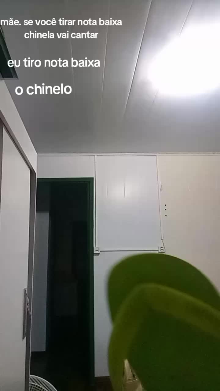 @Valentina Lopes