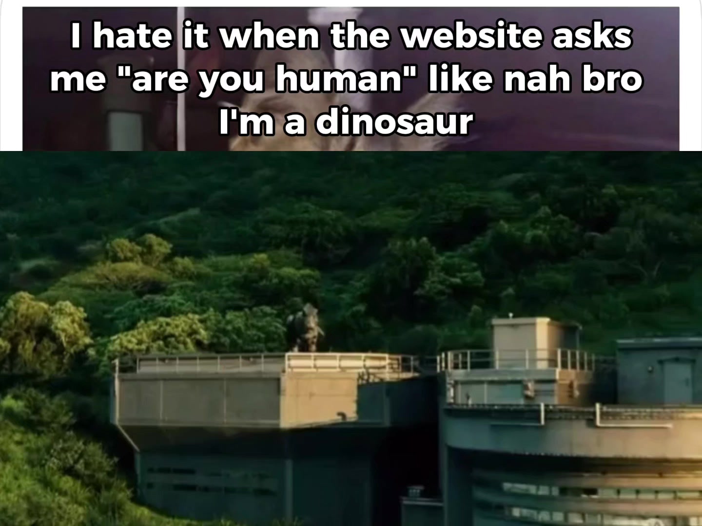 @GiggleSHIT