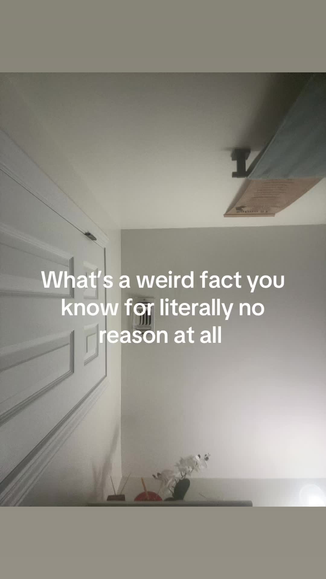 @Edgar Albarez Cornejo