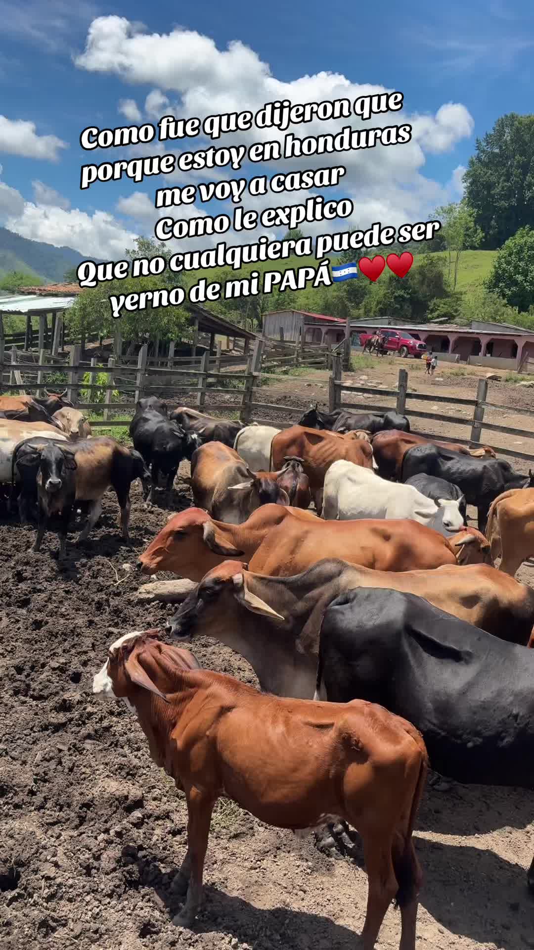 @@labombom11