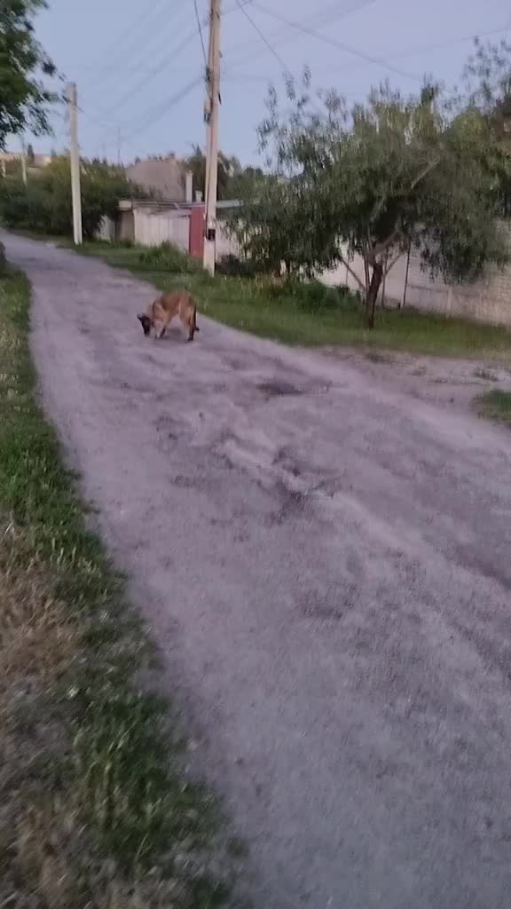 @Виталий