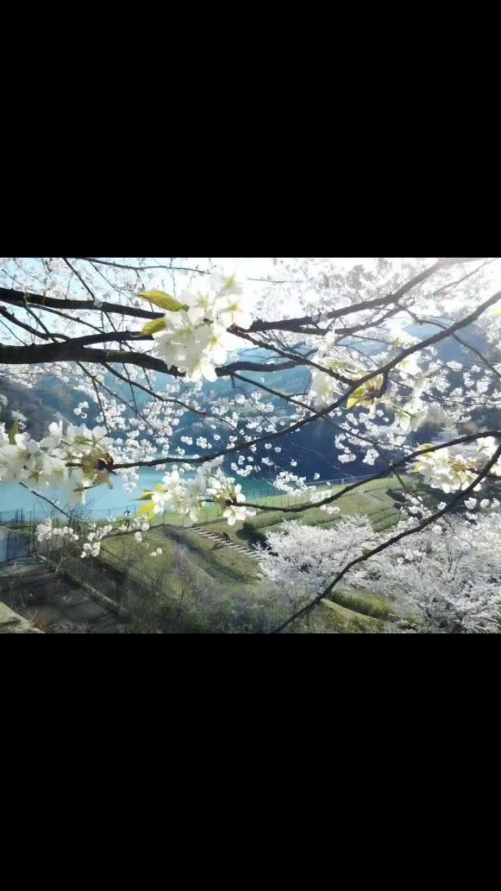 @𝒷ℯ𝓁𝒶𝓁𝓊𝓰ℴ𝓈𝒾1931✞︎