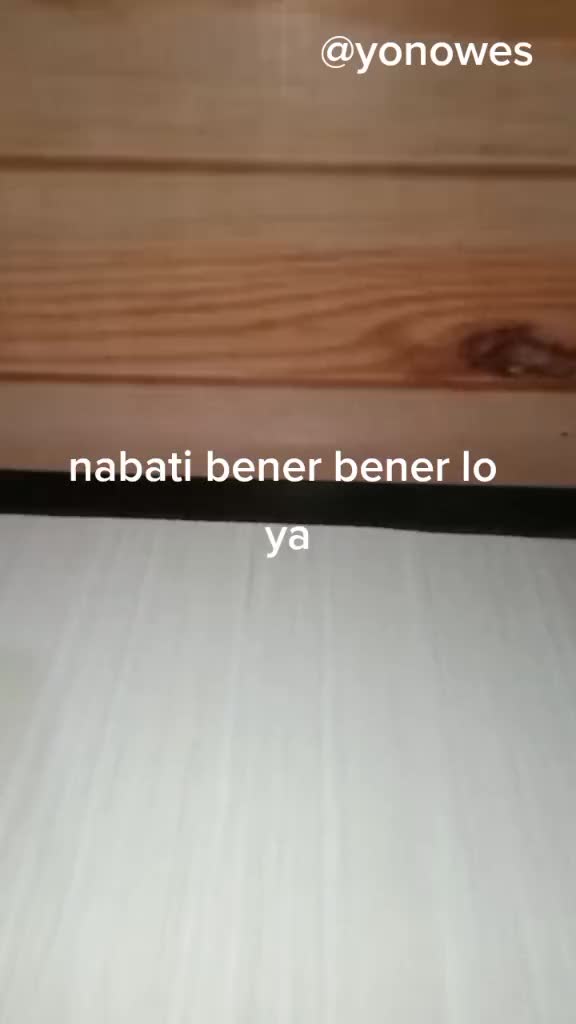 @yonowes