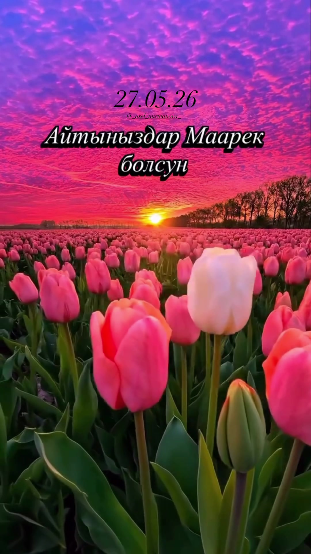 @_asel_nurmanova_