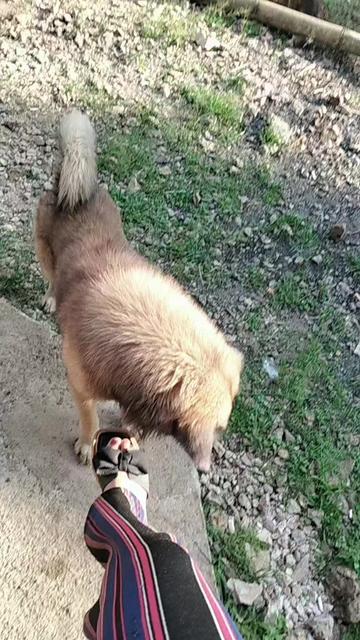 @sinta-sovia🐱🐶