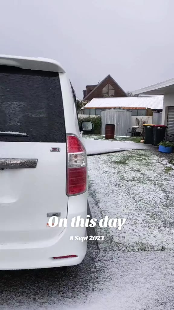 @shellyteddybear1