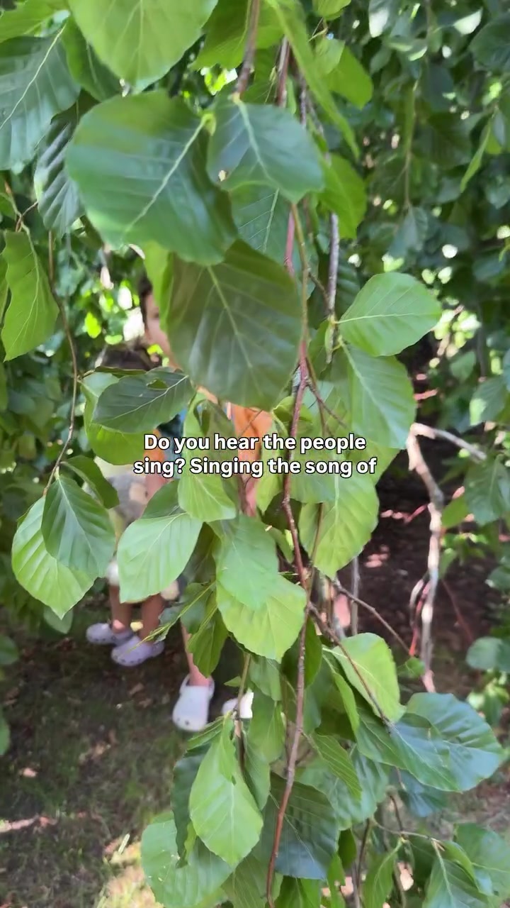 @Lucie Fink