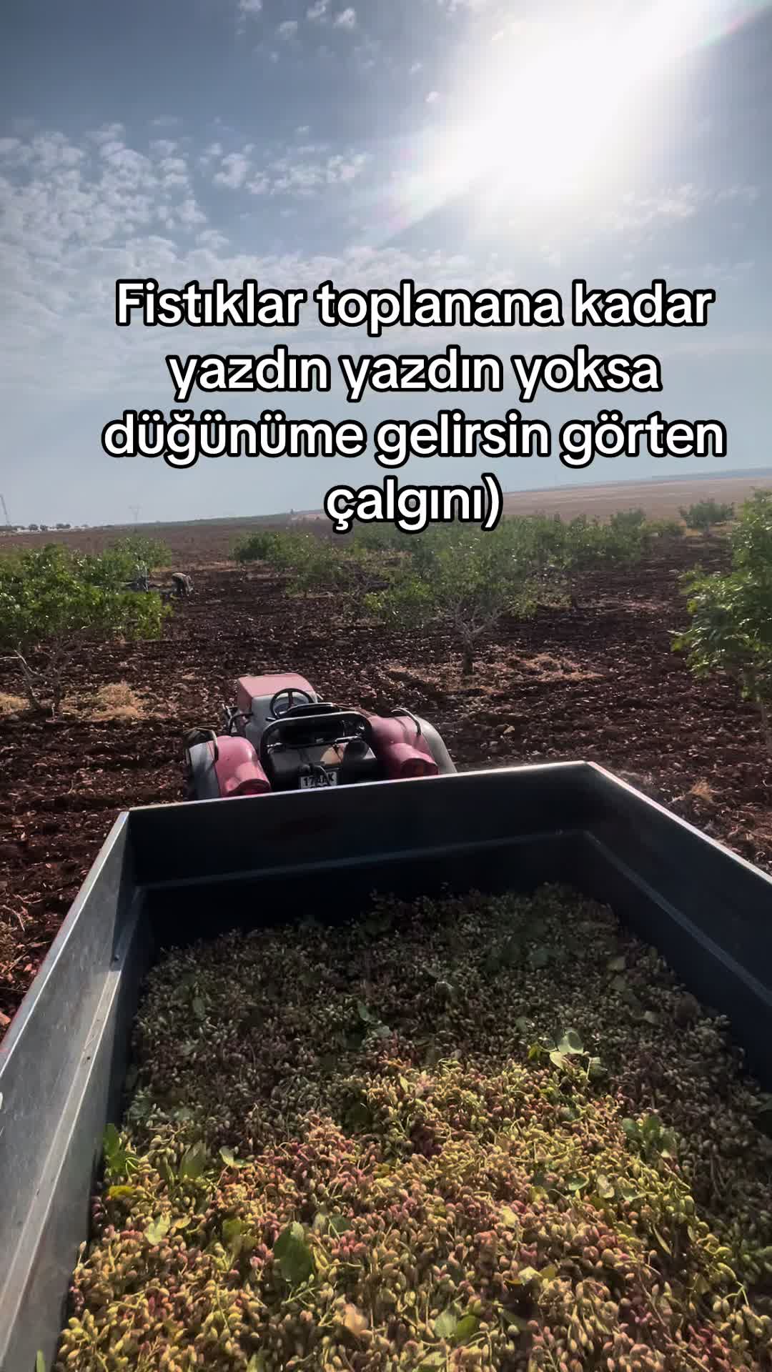 @𝐂𝐄𝐒𝐔𝐑.𝟔𝟑