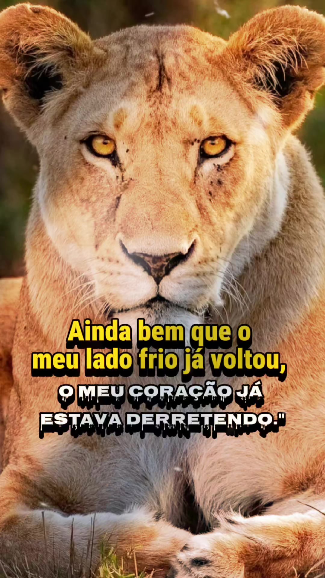 @Manuela Santos
