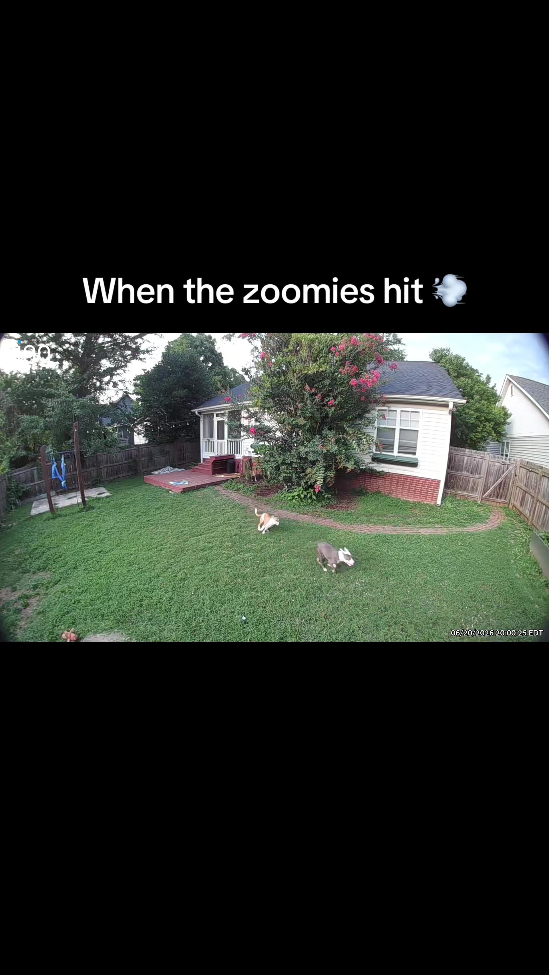 @SBPK