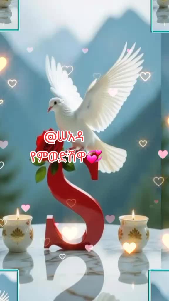 @Hikmu is happy♥