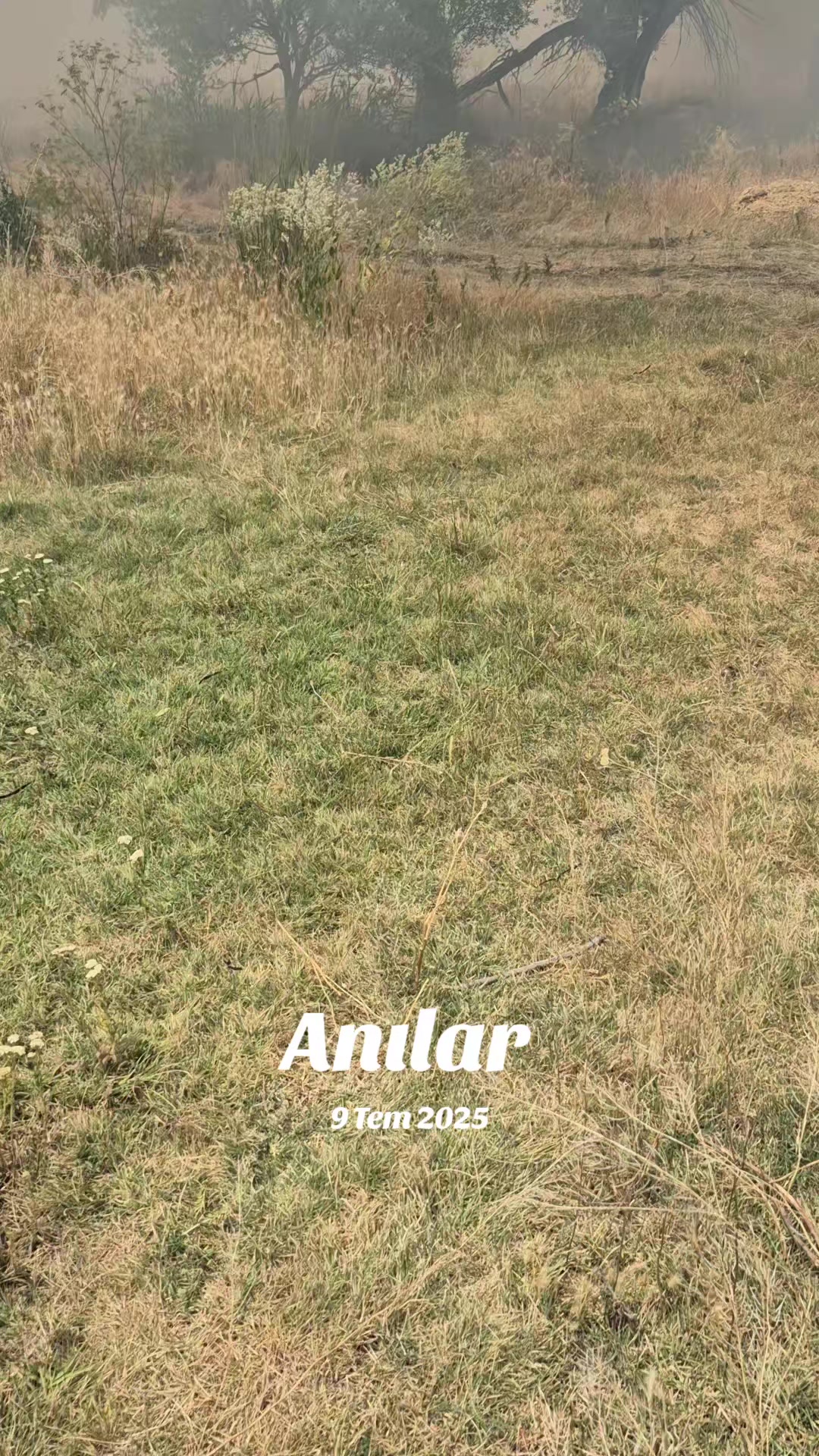 @murat süngü