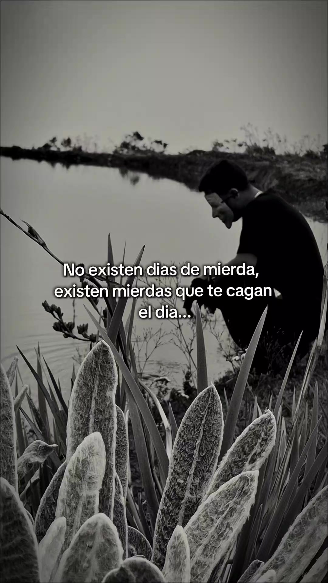 @El-Comis El Rey de la Realidad