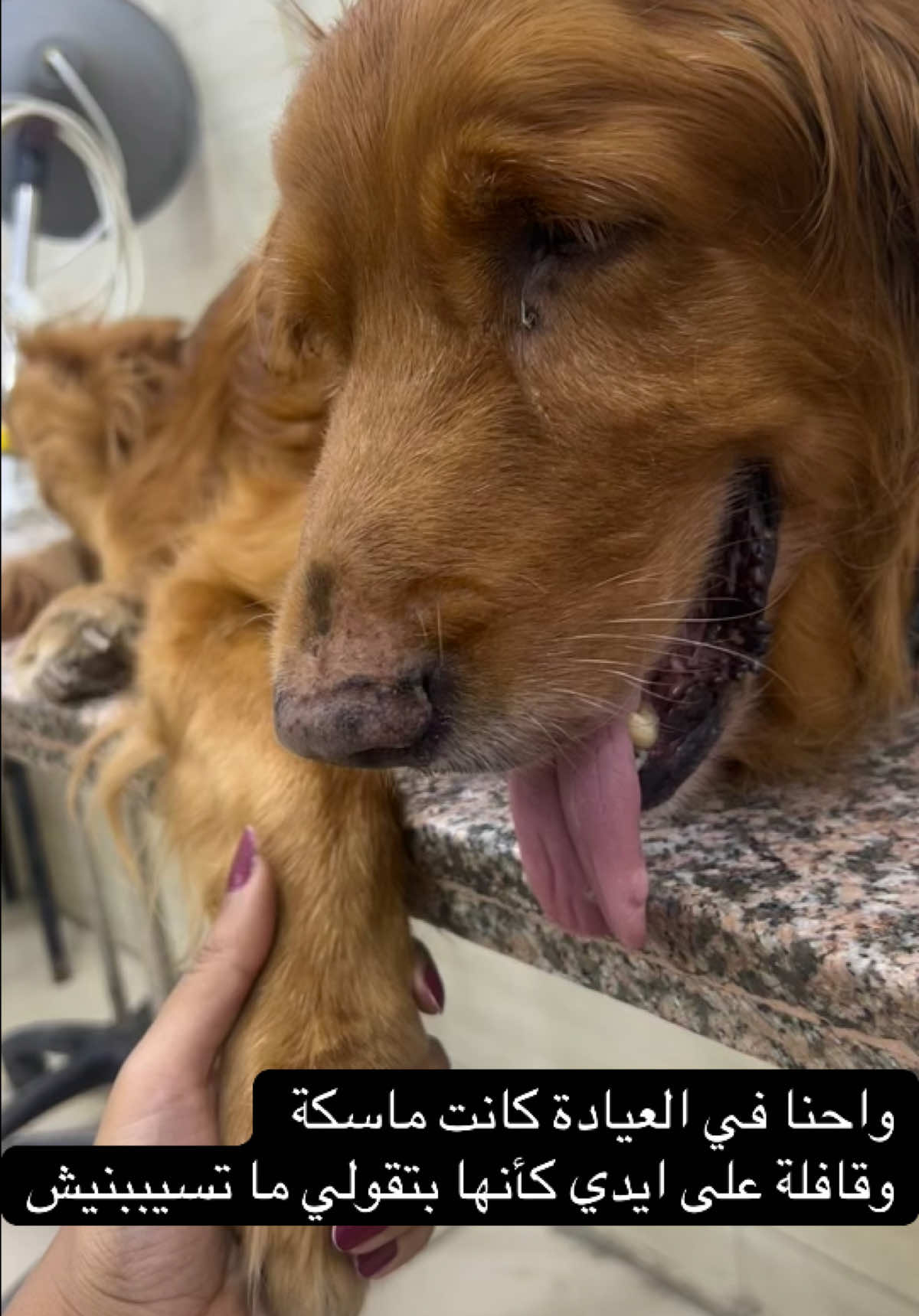 @Hala Ashraf