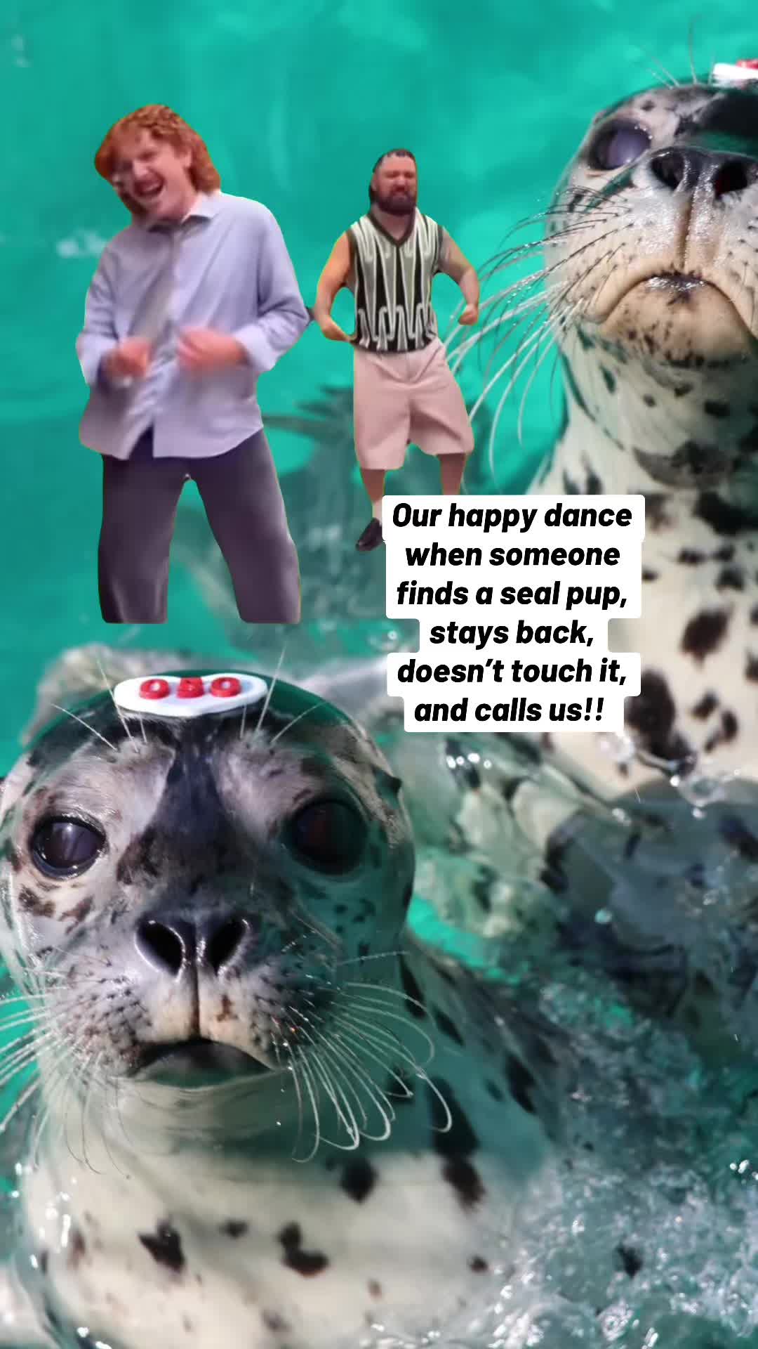 @Marine Mammal Rescue Society