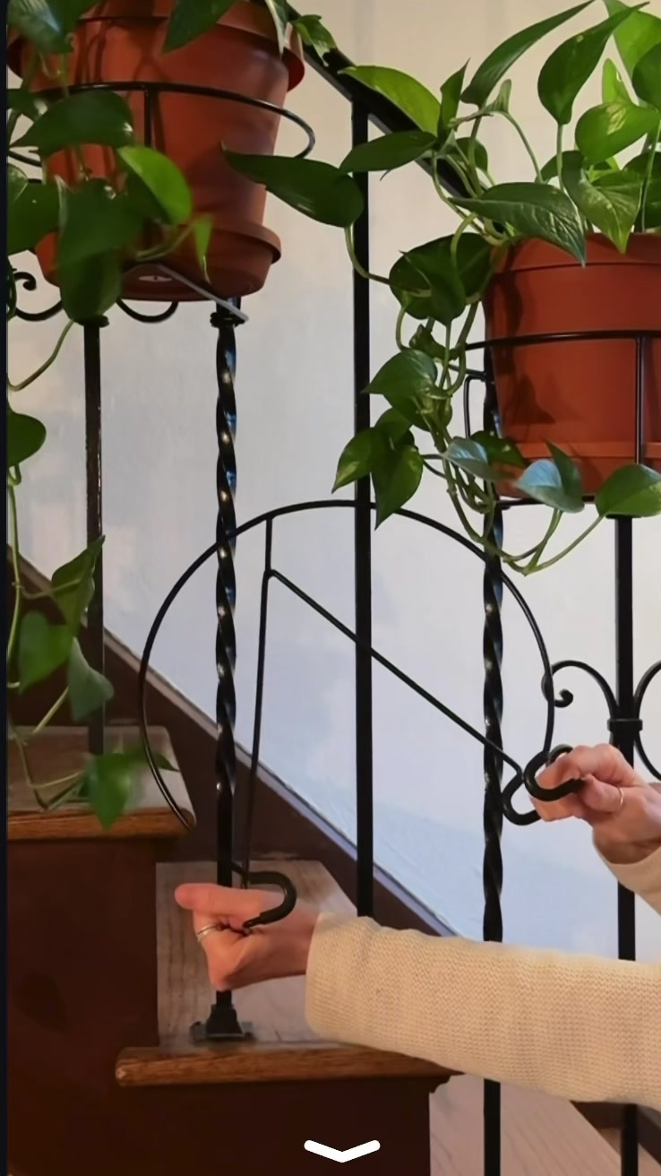 @PlantTraps