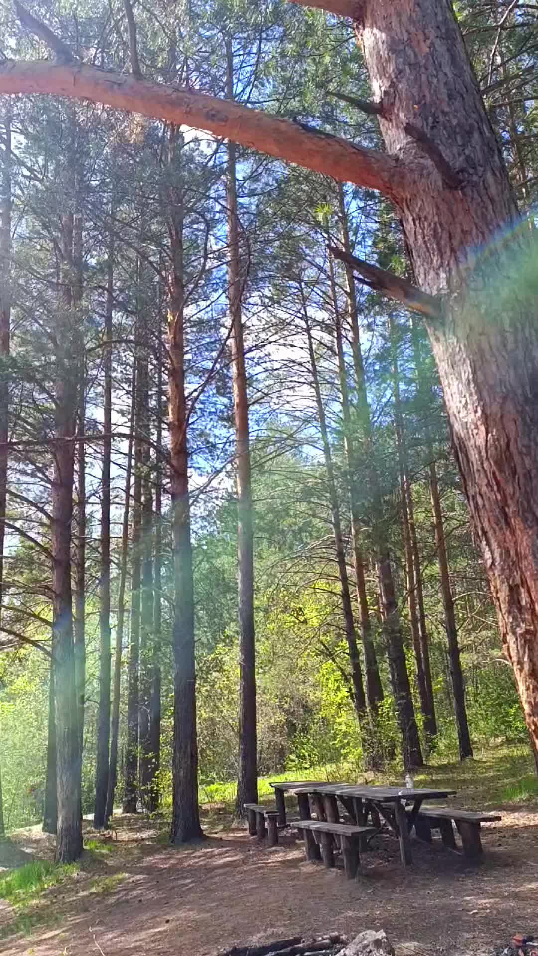 @Элодея