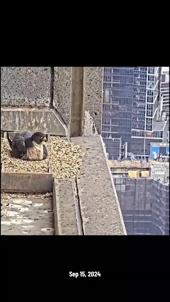 @Aftab Iqbal