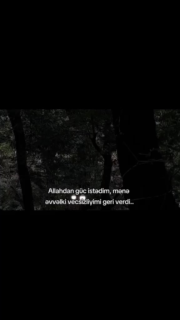 @𝓜.
