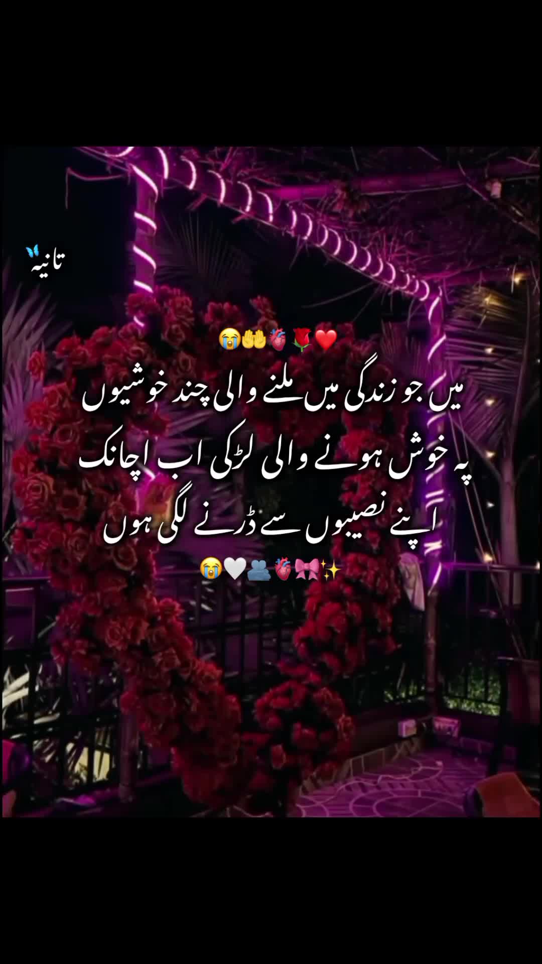 @𓆩ᥫ᭡ɪ ᴀᴍ_ᴛᴀɴɪʏᴀ⏤͟͟͞͞🌷