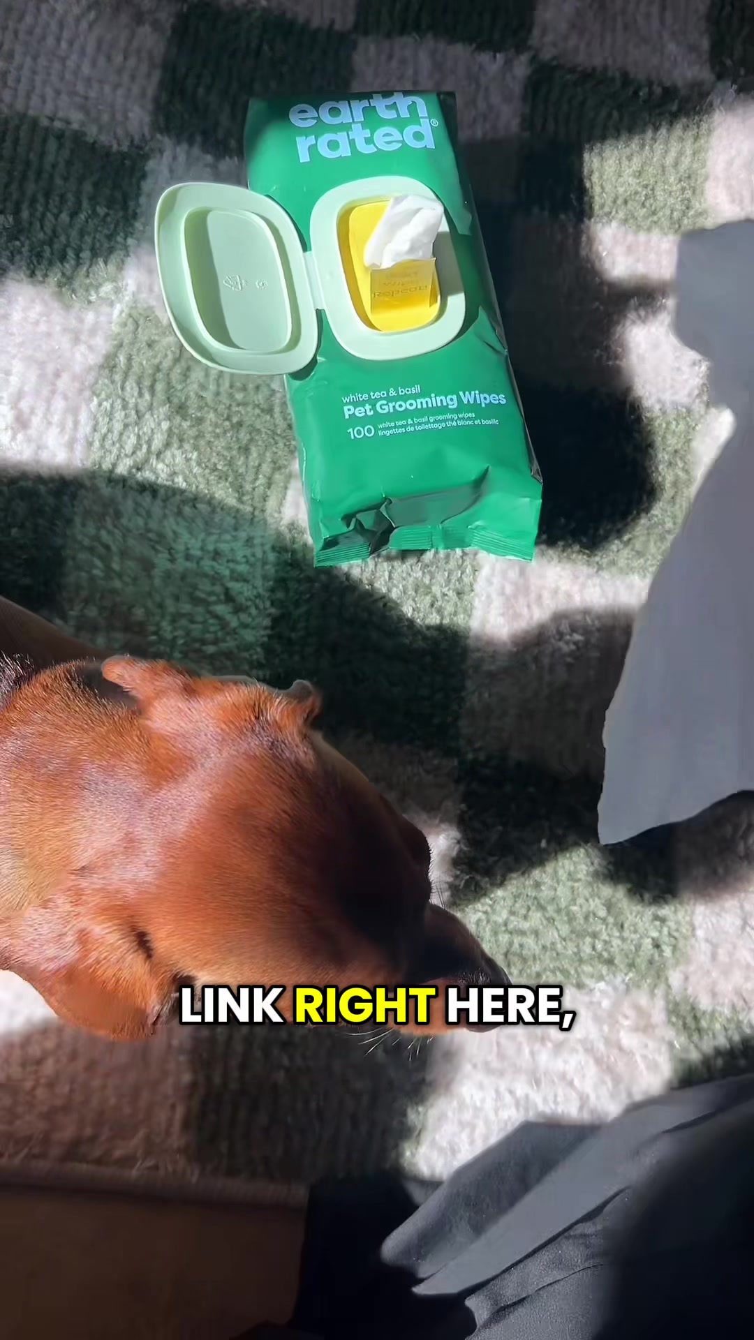 @Slinky Severus-Doo