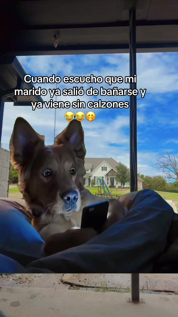 @Jairo🇺🇸🇲🇽❤️🌵🤠