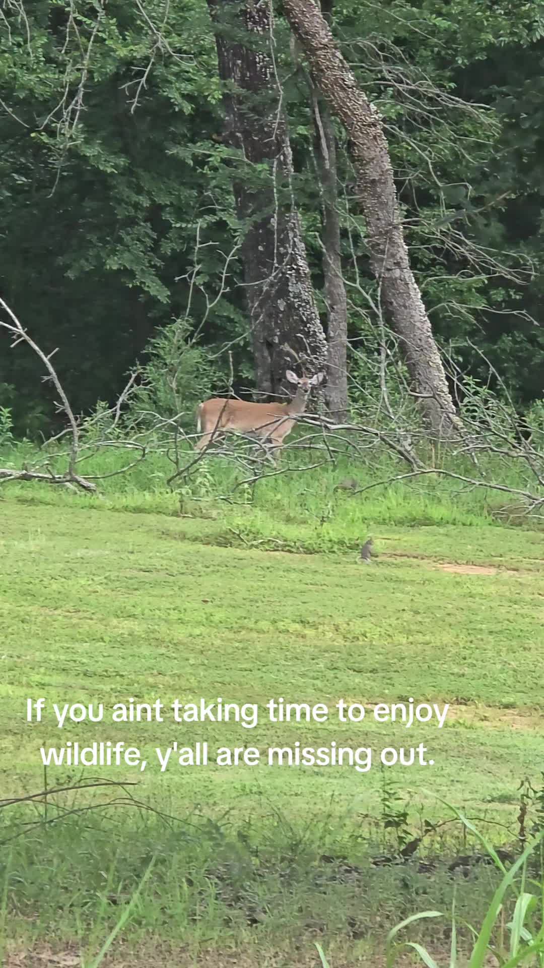 @Diana