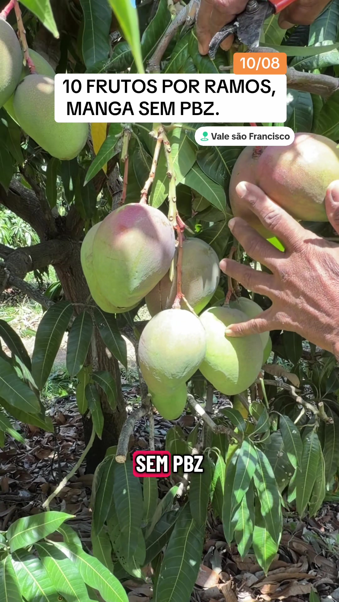 @flavio12inoveagro_oficial