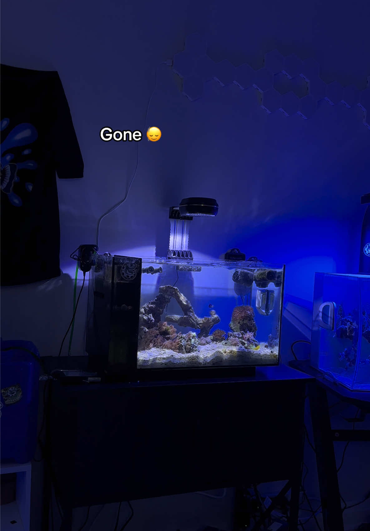 @ReefSync