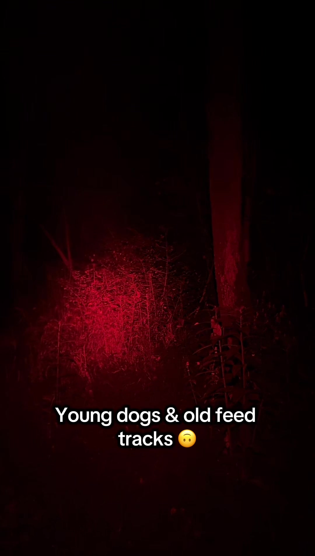 @Rutt Outdoors
