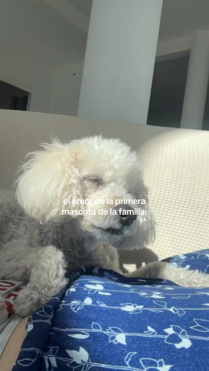 @Naomi