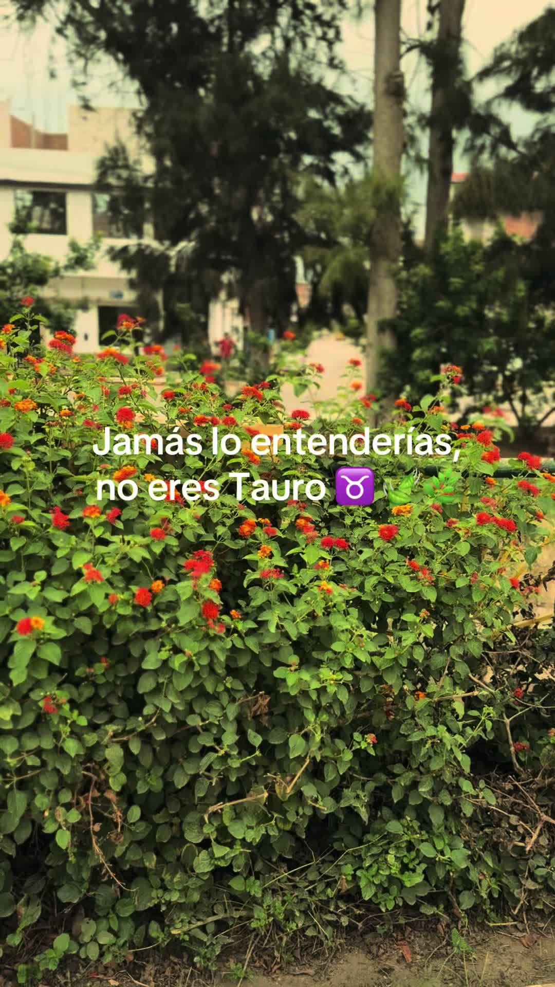 @Fabiola Caballero ♉️