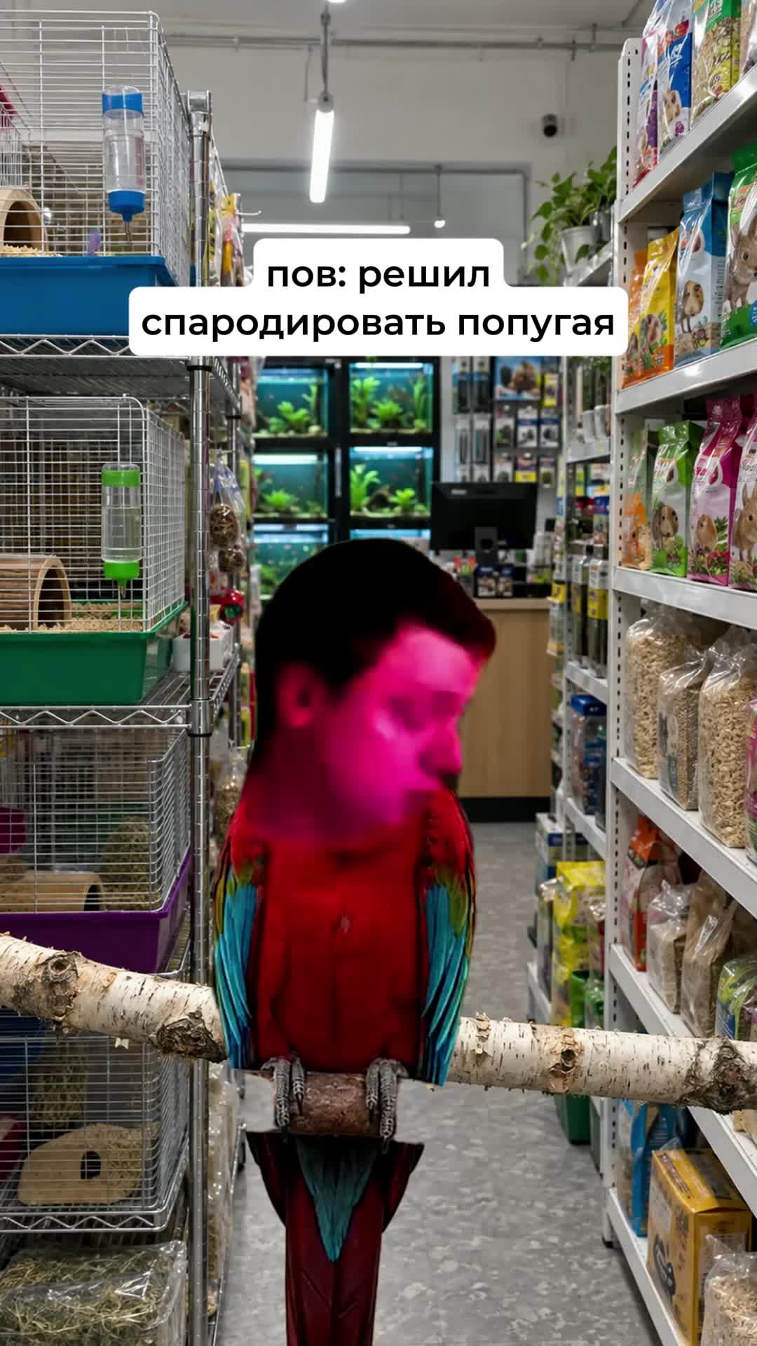 @zyfe