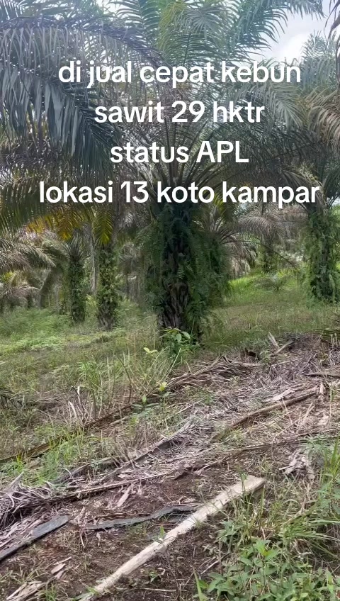 @duo property pku