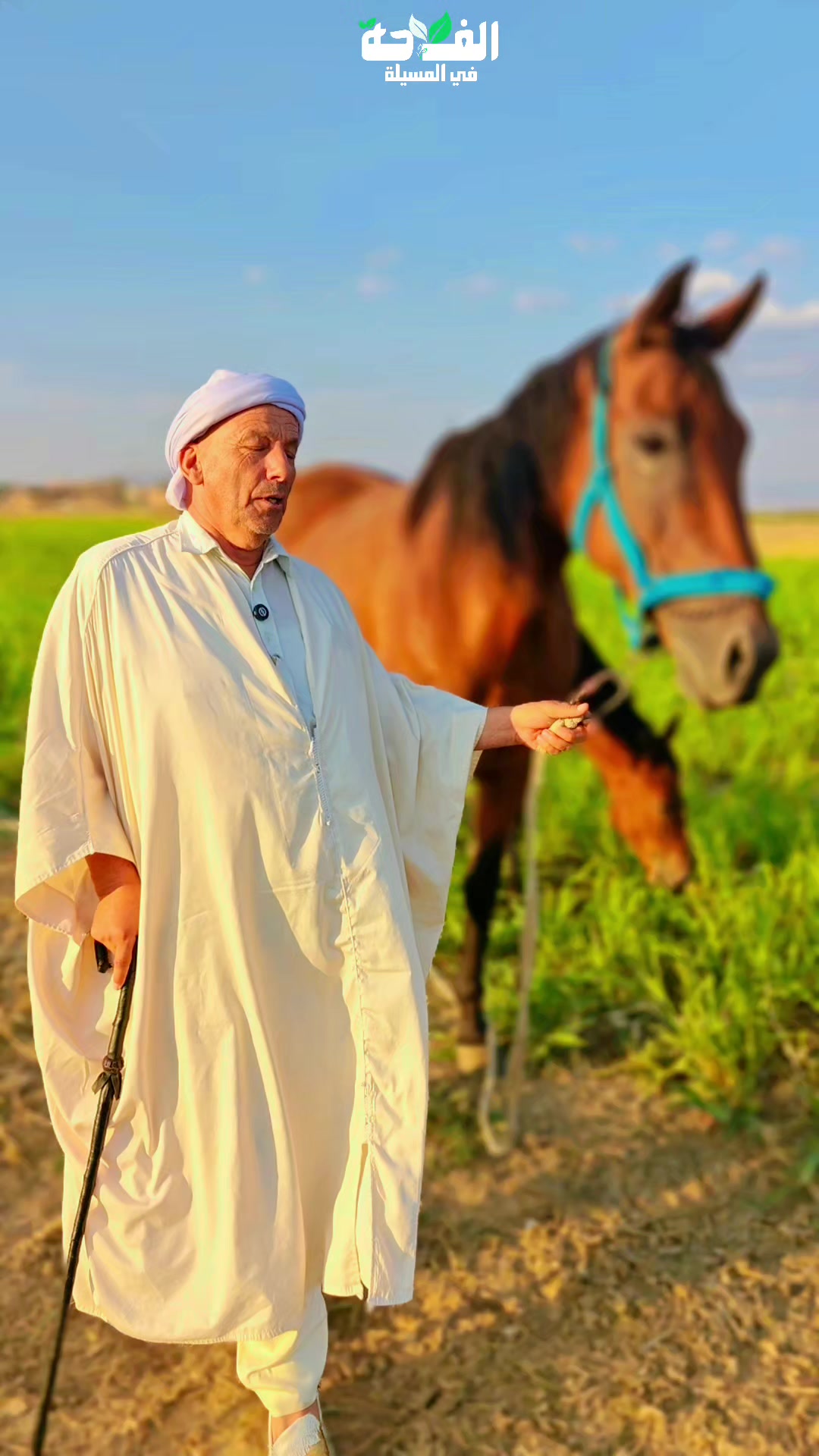 @الفلاحة في مسيلة