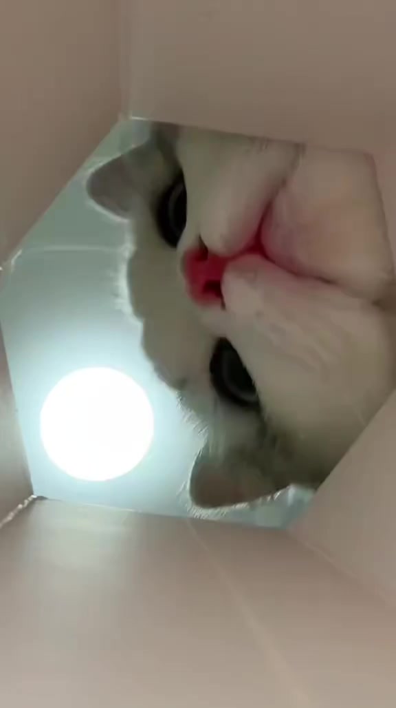 @trạm cute