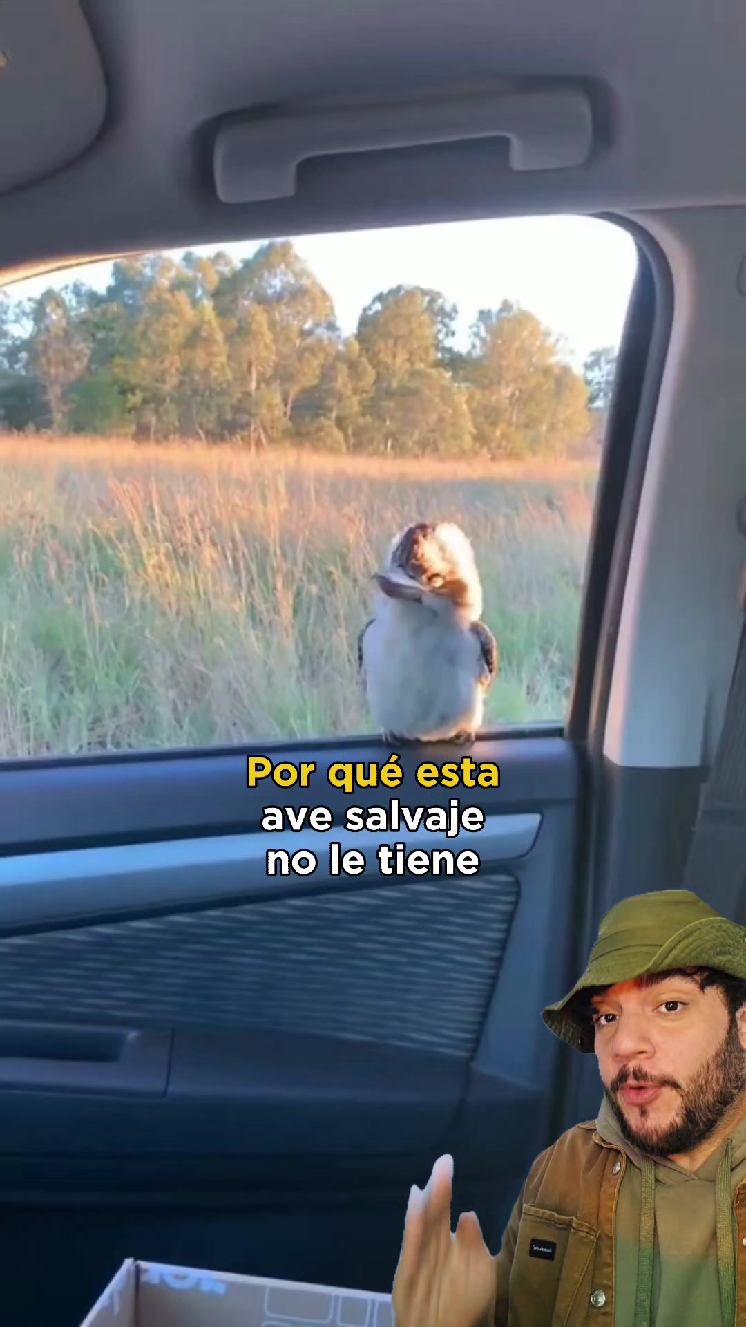@Animaldex
