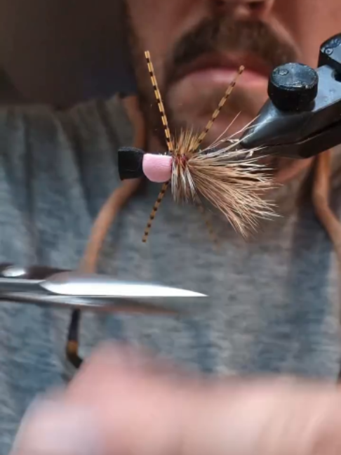 @veevusFishing