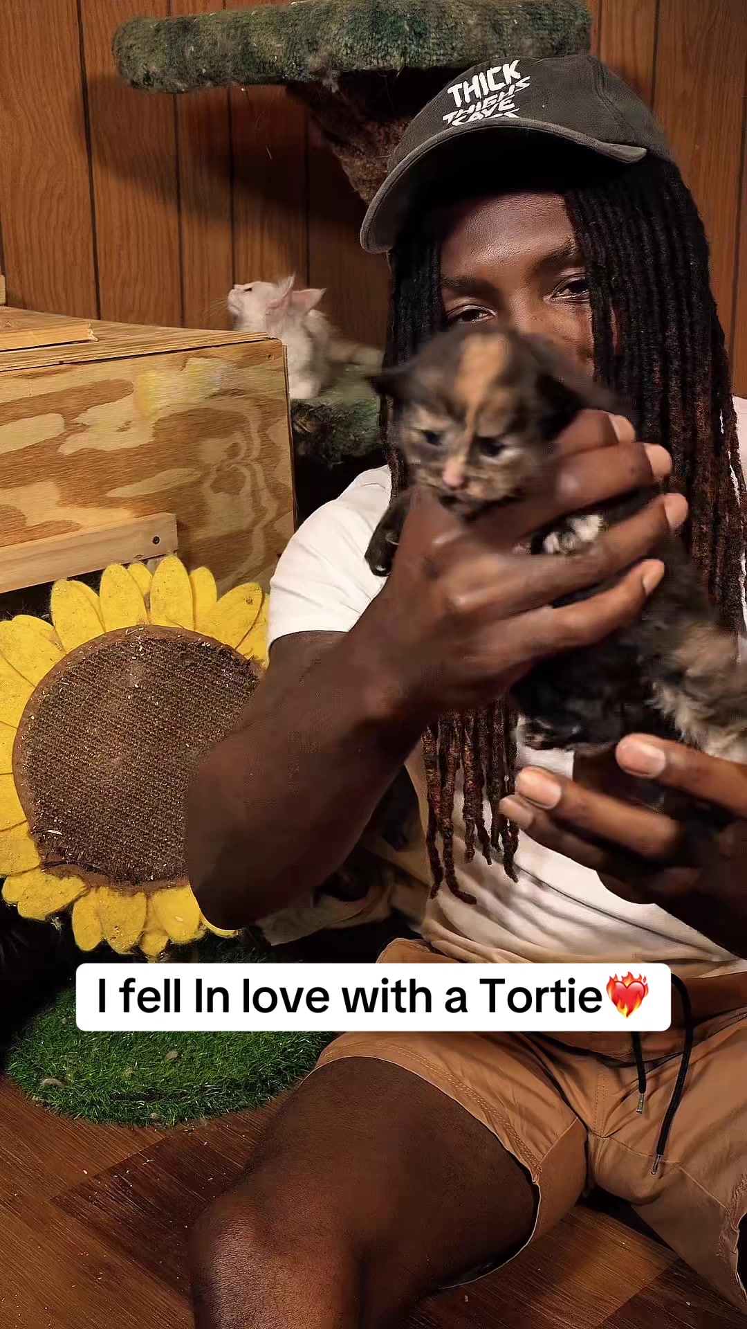 @Tycoon_Mainecoons