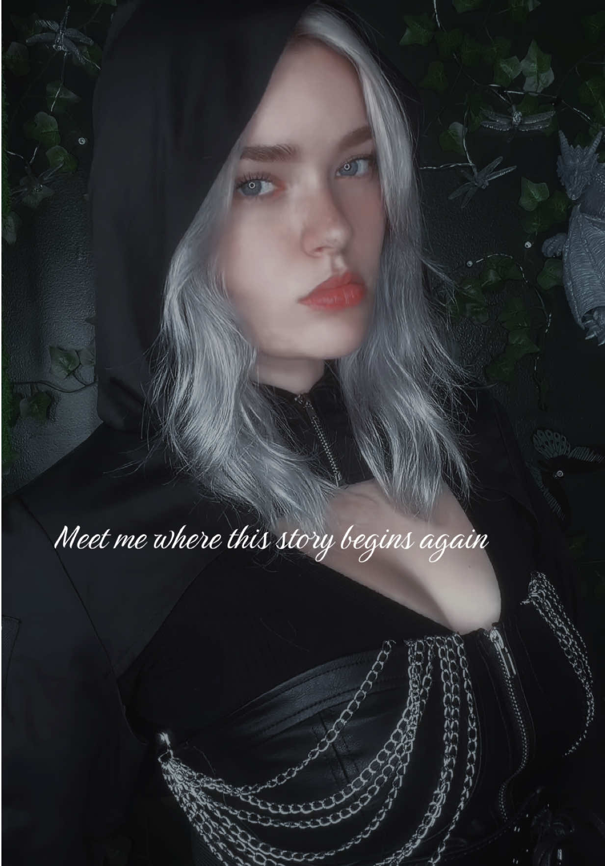 @𝔄𝔰𝔦𝔞 ✧ 𝔅𝔦𝔫𝔡𝔢𝔯𝔱