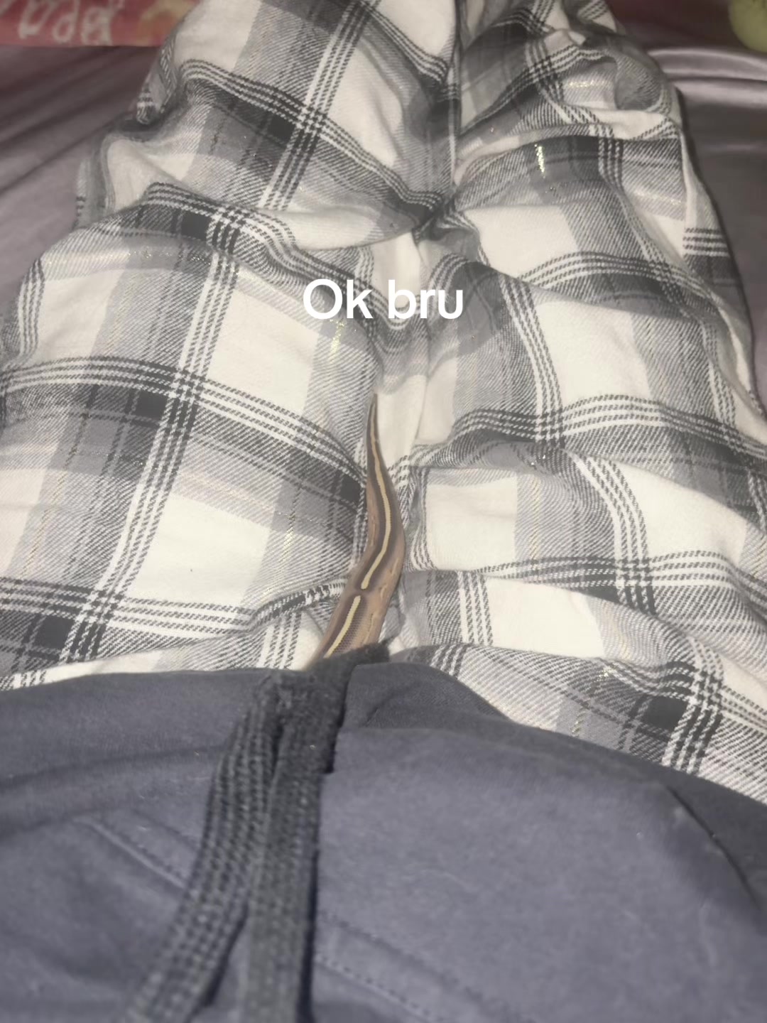 @bigsquarebuttplug