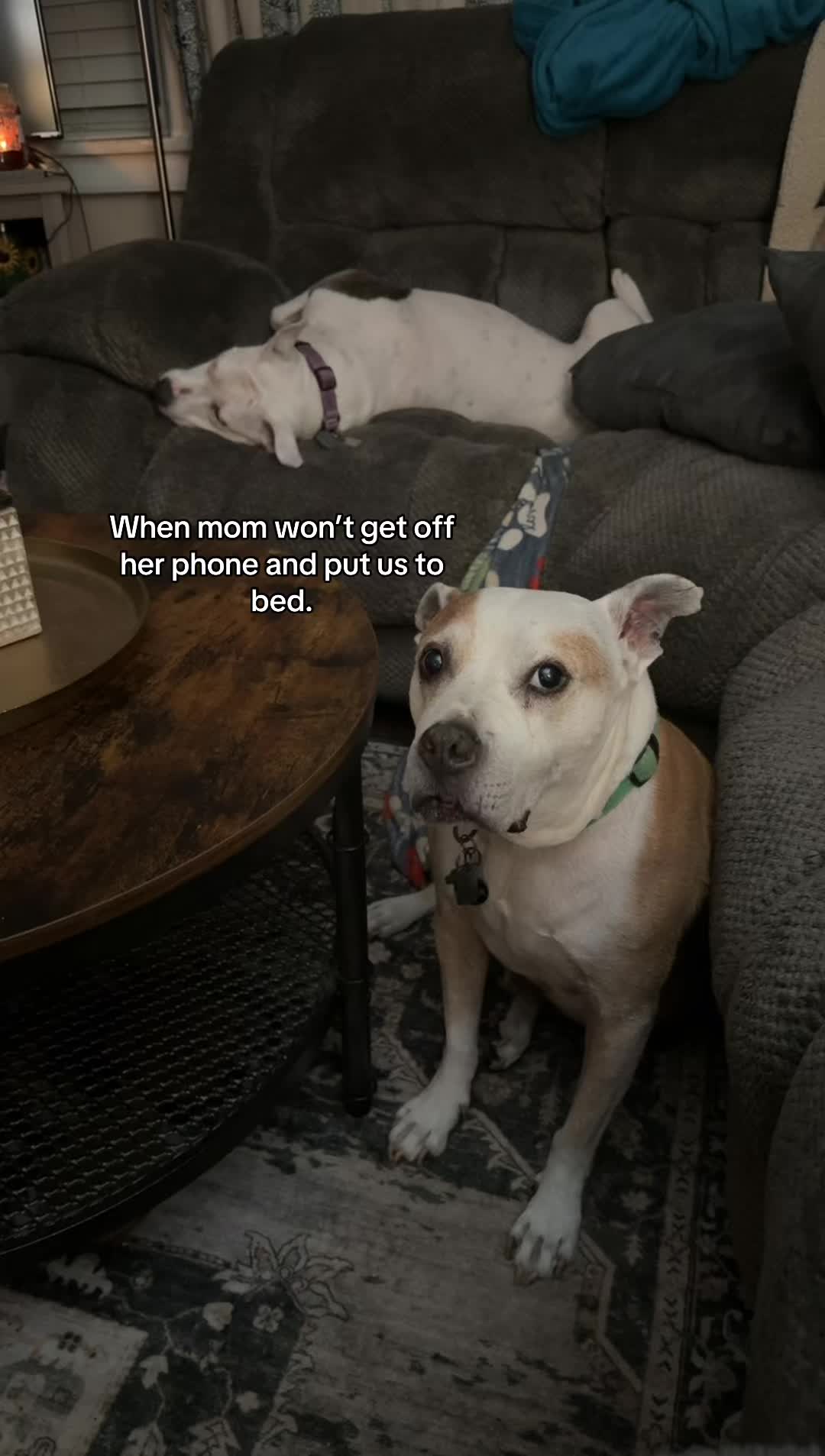@m0rgan_renee