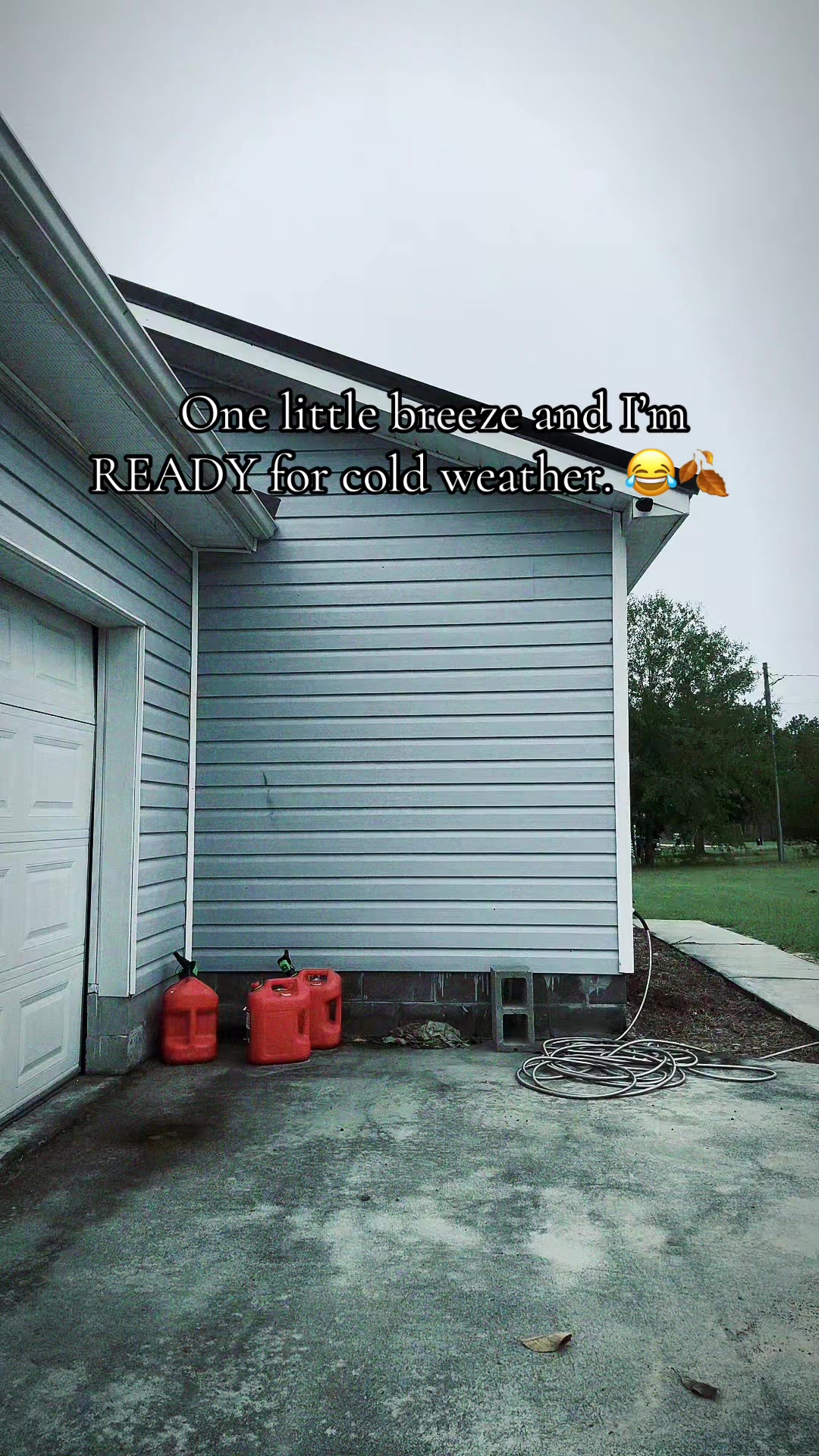 @lifewithspongy
